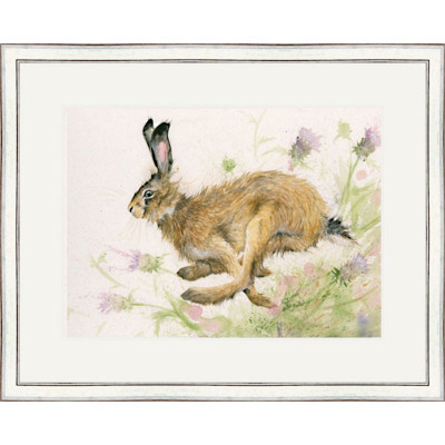 Thistle On The Wind (Hare) - LGE