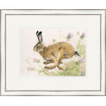 Thistle On The Wind (Hare) - SML Thistle On The Wind (Hare) - SML