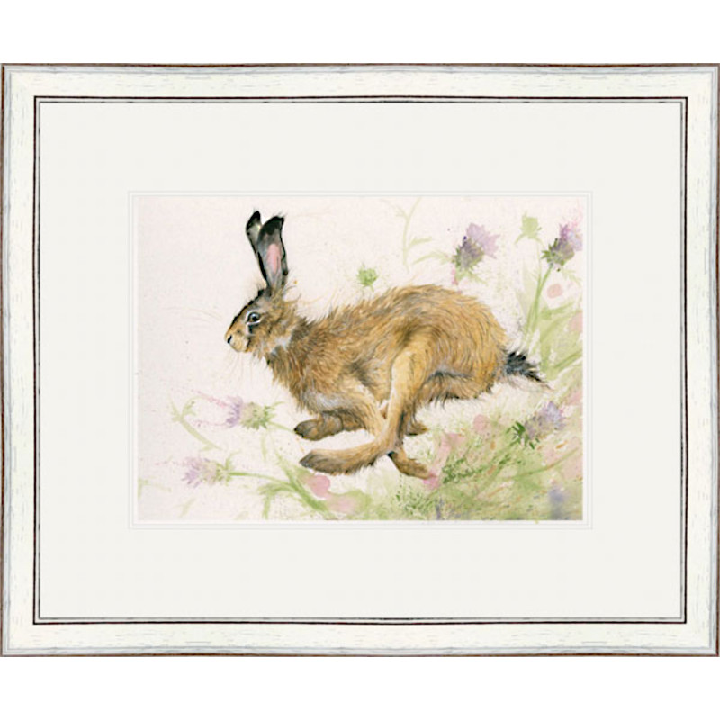 Thistle On The Wind (Hare) - SML Thistle On The Wind (Hare) - SML