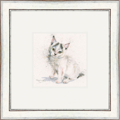 Tiny Tim (Cat)