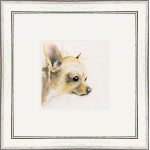 Titch (Chihuahua) Titch (Chihuahua)