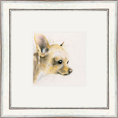 Titch (Chihuahua)