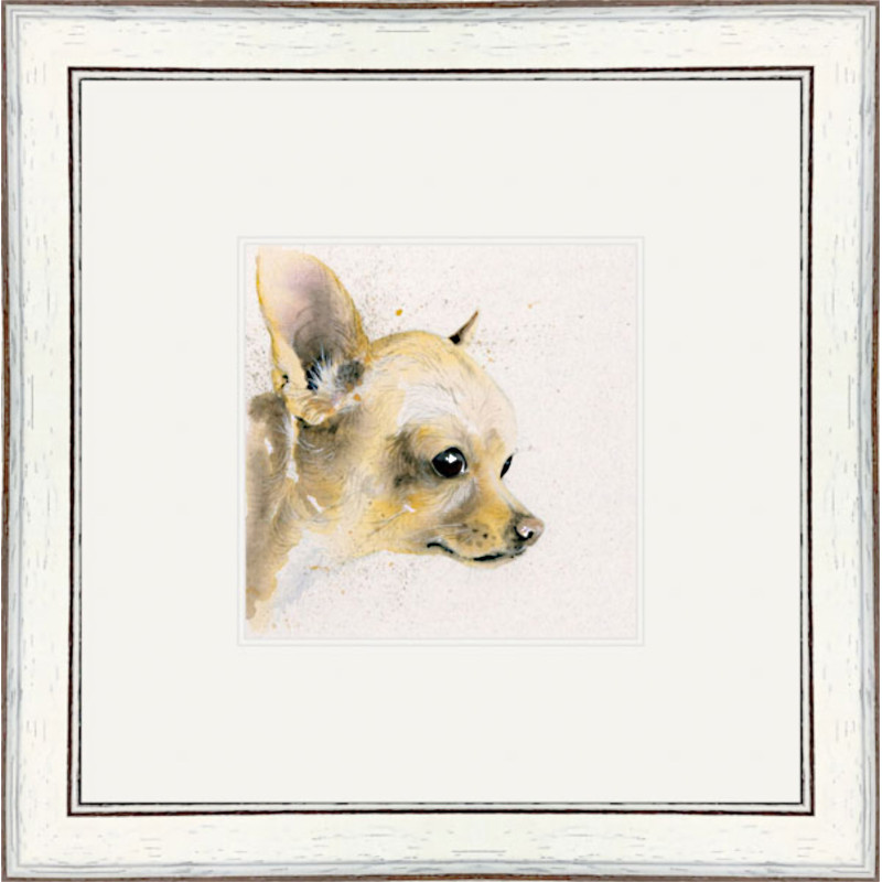 Titch (Chihuahua) Titch (Chihuahua)