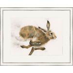 Too Da Loo (Hare) - LGE Too Da Loo (Hare) - LGE