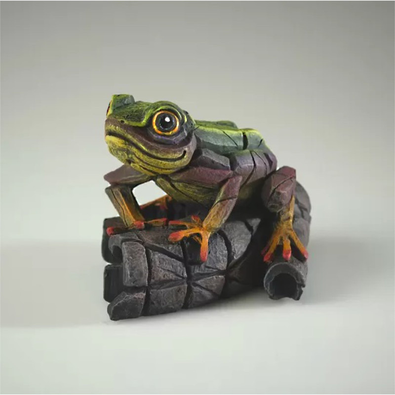 African Tree Frog - Rainbow Green