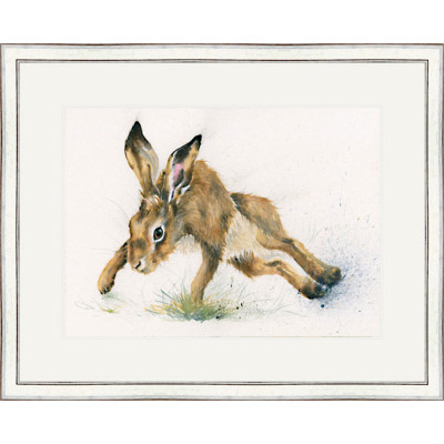 Twister (Hare) - LGE Twister (Hare) - LGE
