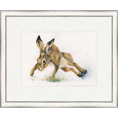 Twister (Hare) - SML Twister (Hare) - SML