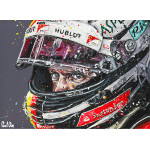 Sebastian Vettel (Canvas) Sebastian Vettel (Canvas)