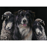 Workmates (Collie) Workmates (Collie)
