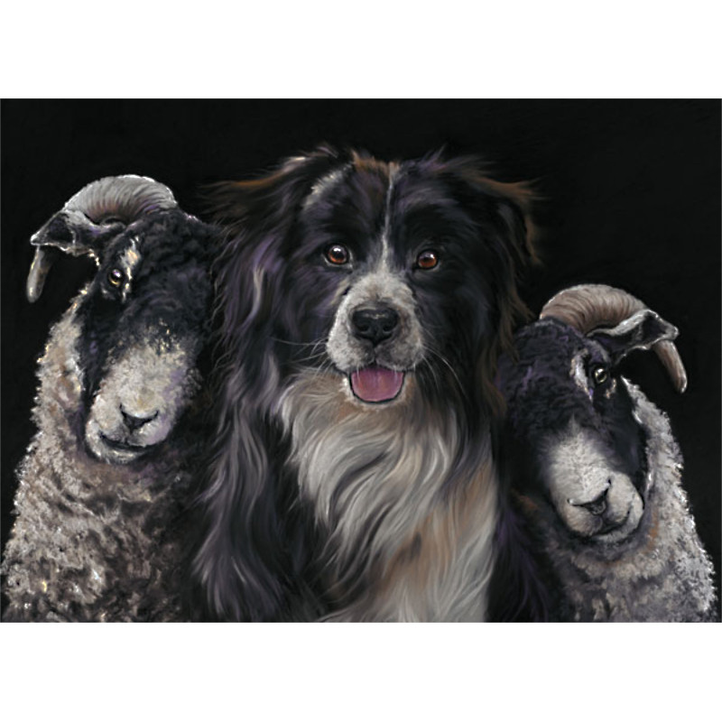 Workmates (Collie) Workmates (Collie)