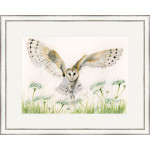 A Wing And A Prayer (Barn Owl) - LGE