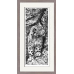 Above The Clouds (Snow Leopard)