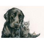 Baby Sitter (Lab) Baby Sitter (Lab)
