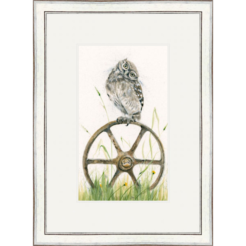 Bed and Breakfast (Owl)
