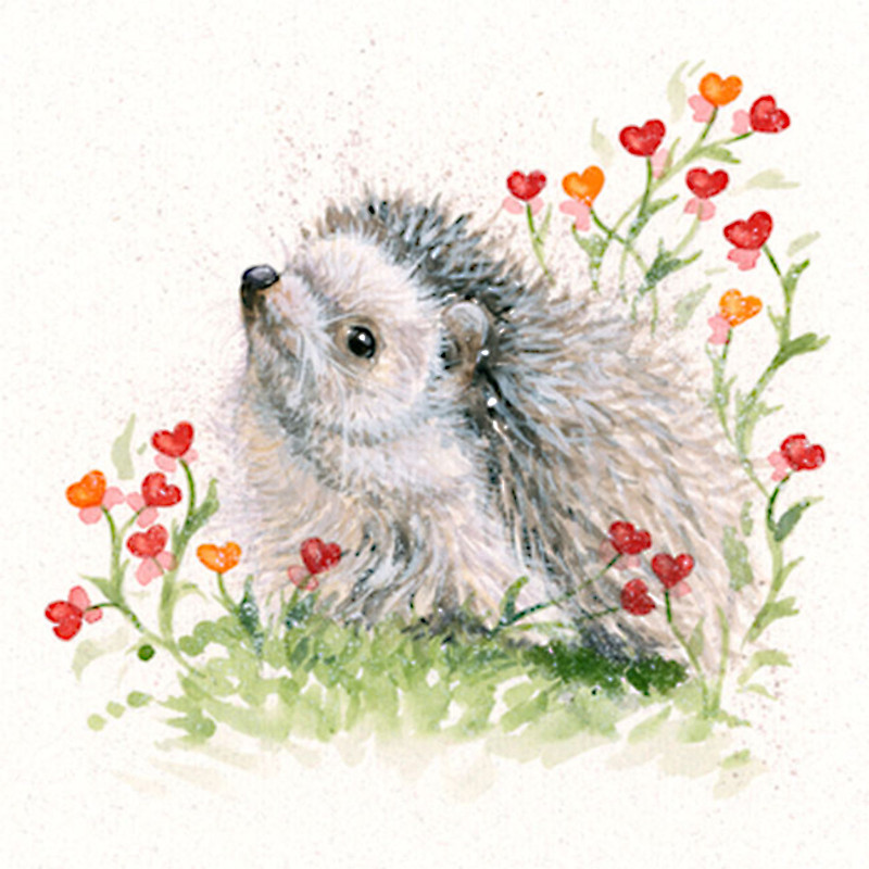 Blooming Love (Hedgehog) Blooming Love (Hedgehog)