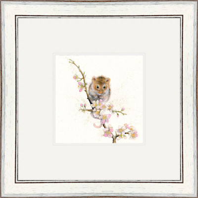 Blossom (Dormouse) Blossom (Dormouse)