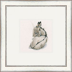 Bray Heart (Donkey) Bray Heart (Donkey)