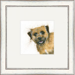 Buster (Border Terrier) Buster (Border Terrier)