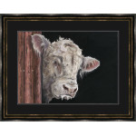 Allo, Allo - Charolais Bull