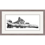 Clouded Judgement (Clouded Leopard) Clouded Judgement (Clouded Leopard)