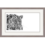 Cold Stealth (Amur Leopard) Cold Stealth (Amur Leopard)