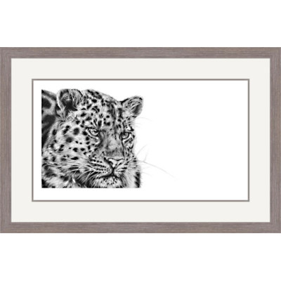 Cold Stealth (Amur Leopard)
