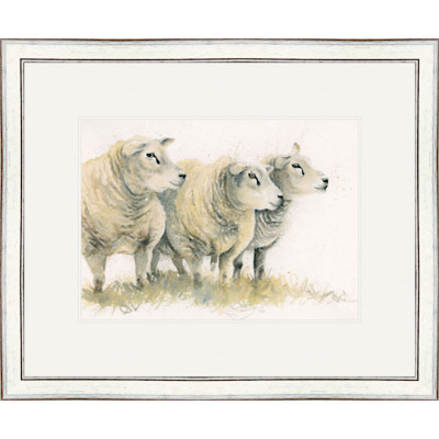 Dutch Courage (Texel Sheep) Dutch Courage (Texel Sheep)