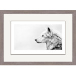 Endless Winter (Wolf) Endless Winter (Wolf)
