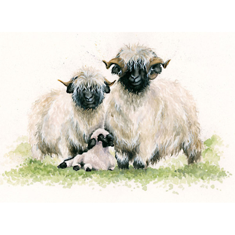 Ewe Me and Him (Valais Sheep)