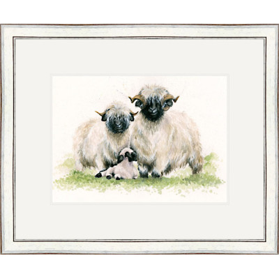 Ewe Me and Him (Valais Sheep)