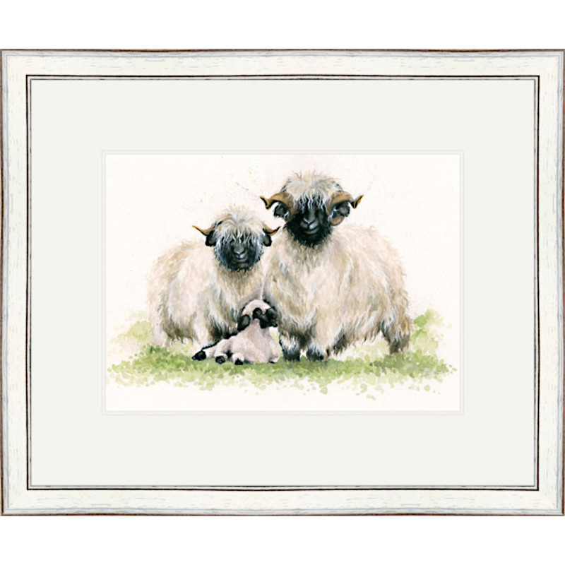 Ewe Me and Him (Valais Sheep)