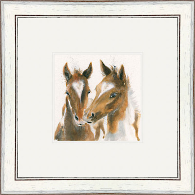 Foaling in Love Foaling in Love