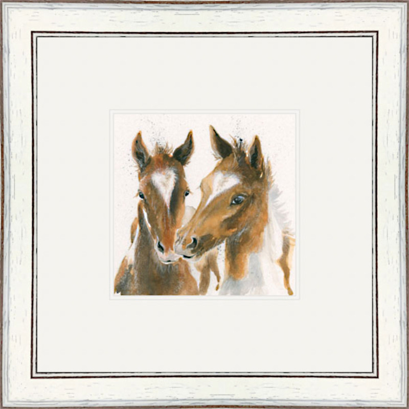 Foaling in Love