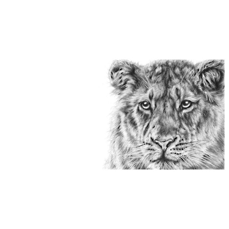 Forest Light (Asiatic Lion) Forest Light (Asiatic Lion)