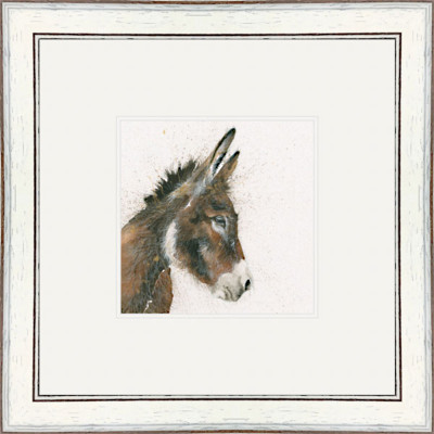 Freddie (Donkey) Freddie (Donkey)