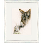 French Kiss (Donkey & Cat)
