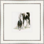 Gypsy (Gypsy Vanner) Gypsy (Gypsy Vanner)