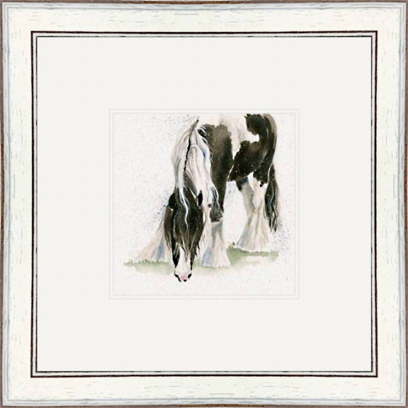 Gypsy (Gypsy Vanner) Gypsy (Gypsy Vanner)