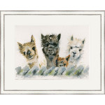 Hair Bear Bunch (Alpacas) - LGE
