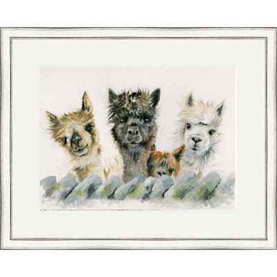 Hair Bear Bunch (Alpacas) - LGE Hair Bear Bunch (Alpacas) - LGE