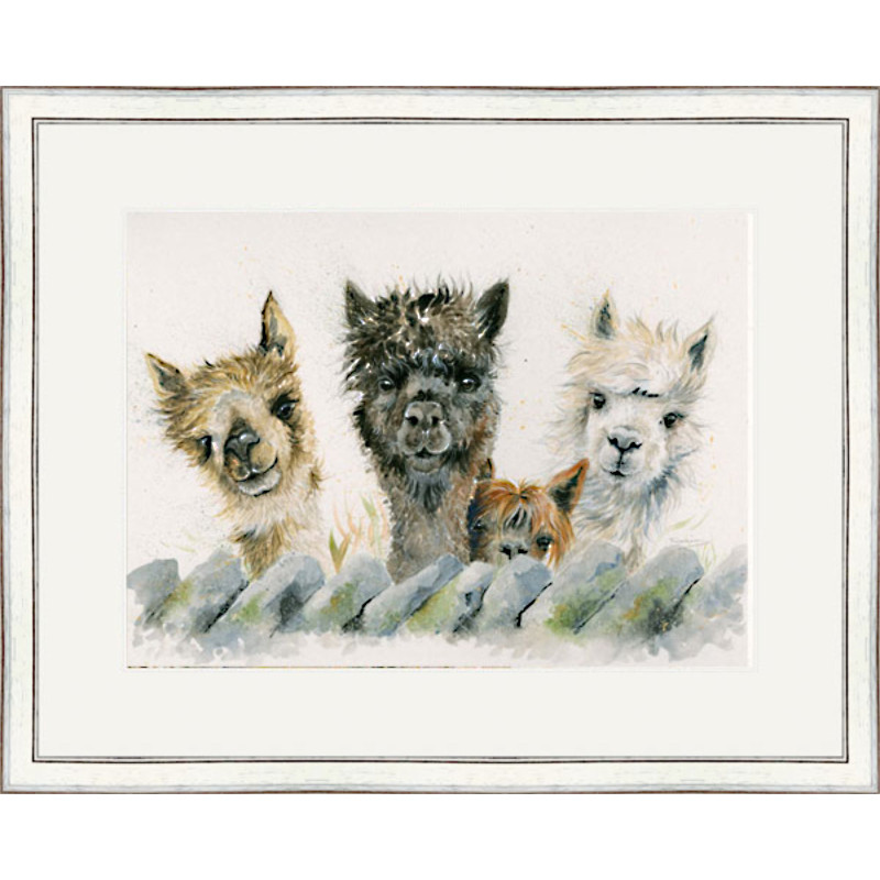 Hair Bear Bunch (Alpacas) - LGE