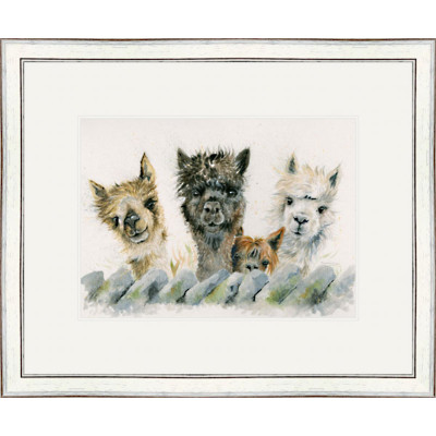 Hair Bear Bunch (Alpacas) - SML Hair Bear Bunch (Alpacas) - SML