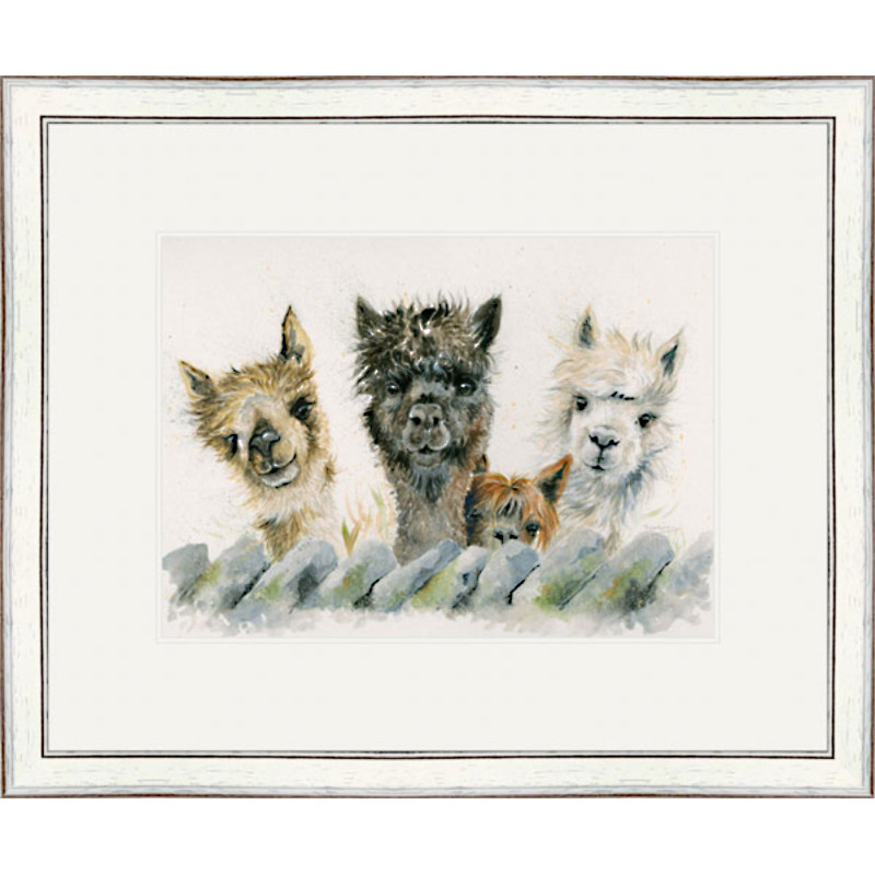 Hair Bear Bunch (Alpacas) - SML Hair Bear Bunch (Alpacas) - SML