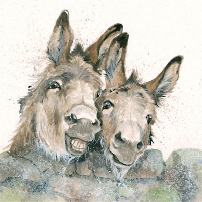 Happy Days (Donkey)