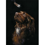 Heaven Sent (Cocker Spaniel) - SML Heaven Sent (Cocker Spaniel) - SML