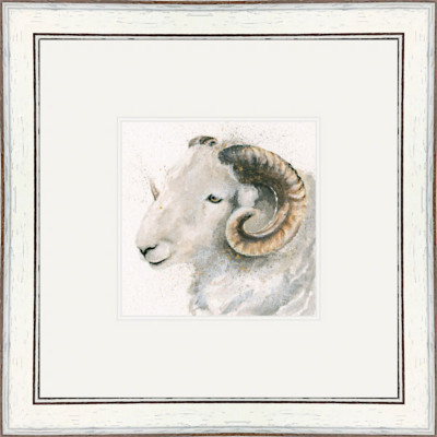 Herdwick (Herdwick Sheep) Herdwick (Herdwick Sheep)