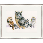 Holding Parliament (Owls) - LGE Holding Parliament (Owls) - LGE