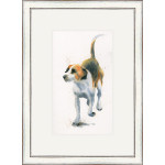 Hound Dog (Hounds) Hound Dog (Hounds)