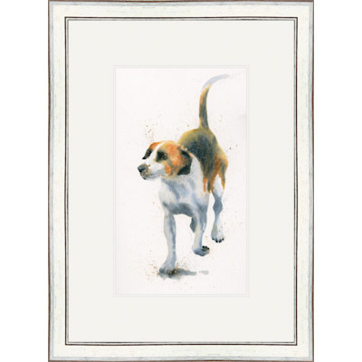 Hound Dog (Hounds) Hound Dog (Hounds)