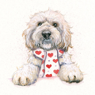 Hugs & Kisses (Cockapoo)